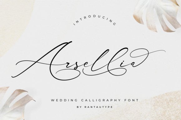 Arsellia: The Elegant Script Amp Font for Handmade Brands