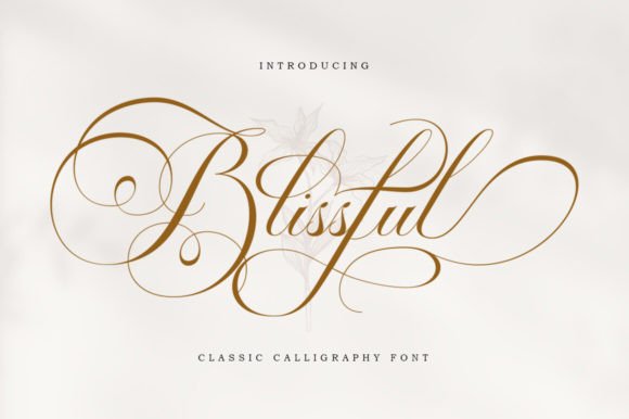 Blissful: A Designer's Honest Review for Real-World Branding