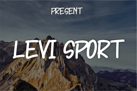 Levi Sport: The Friendly Typeface That Transforms Small Business Branding