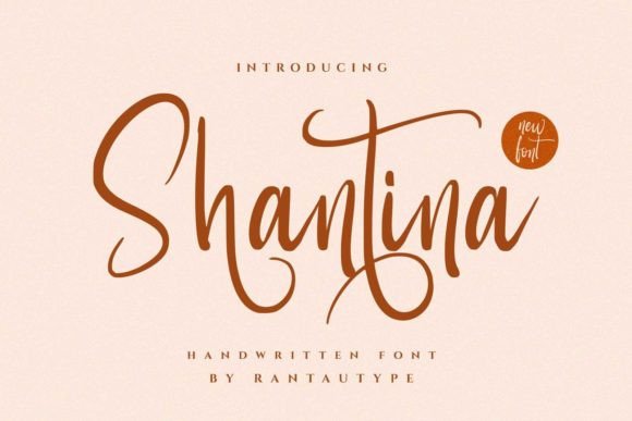 Shantina: The Script Typeface That Transformed My Small Business Brand