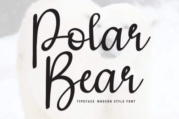 Why Polar Bear Is the Perfect Script Amp for Editorial Design